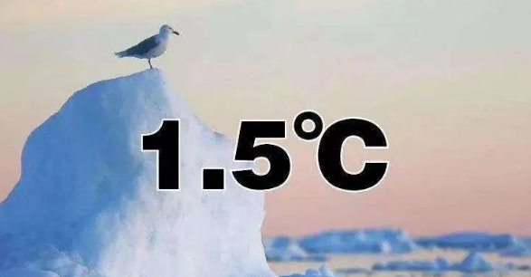 國際能源署執(zhí)行干事：清潔能源發(fā)展有效減緩全球碳排放增幅！